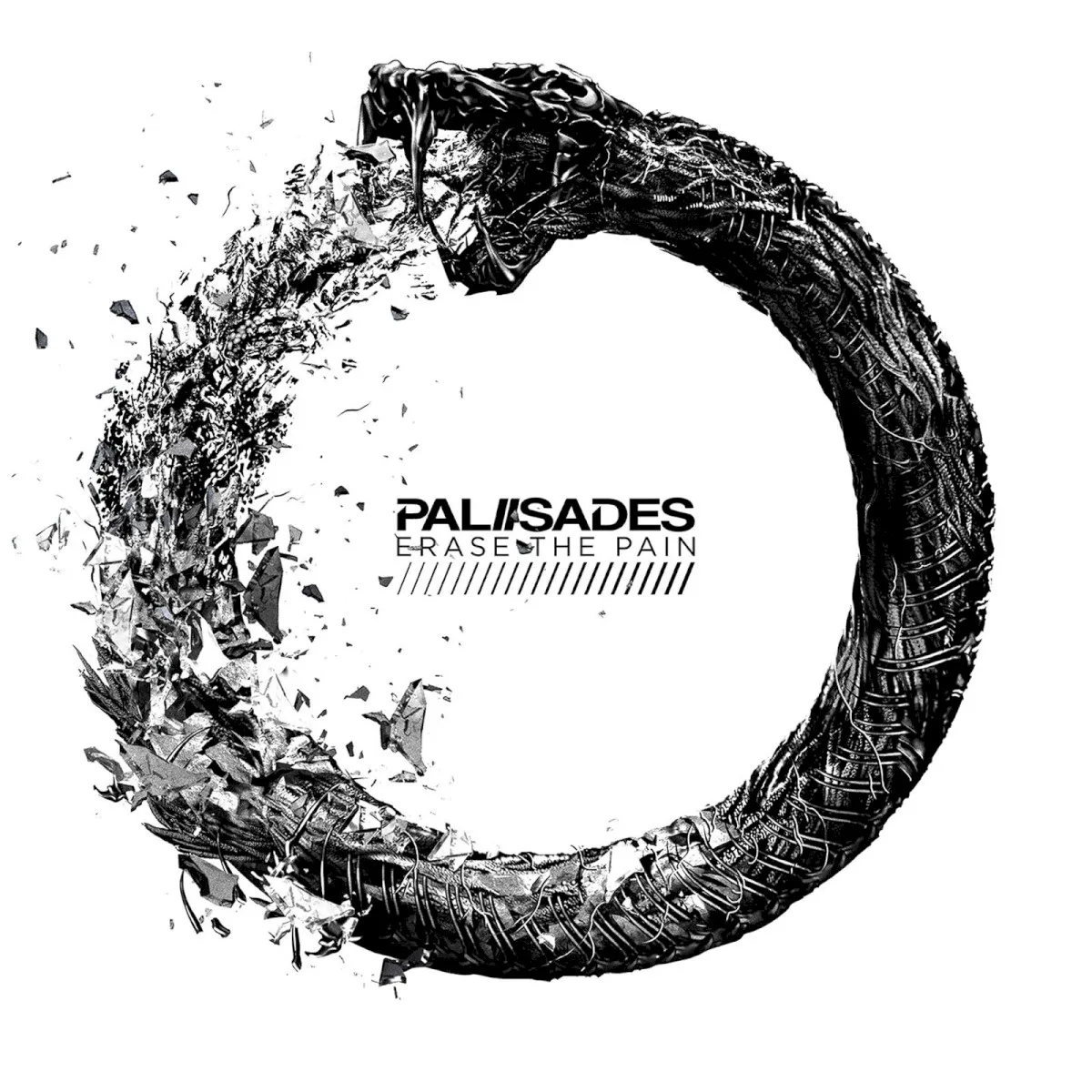 Obal alba Palisades – Erase the Pain