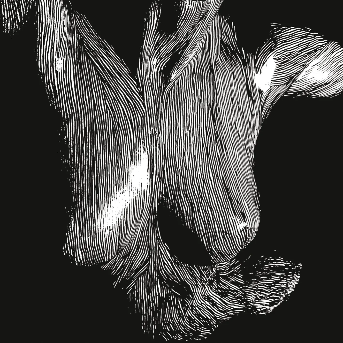 Obal albumu Self Preserved While the Bodies Float Up