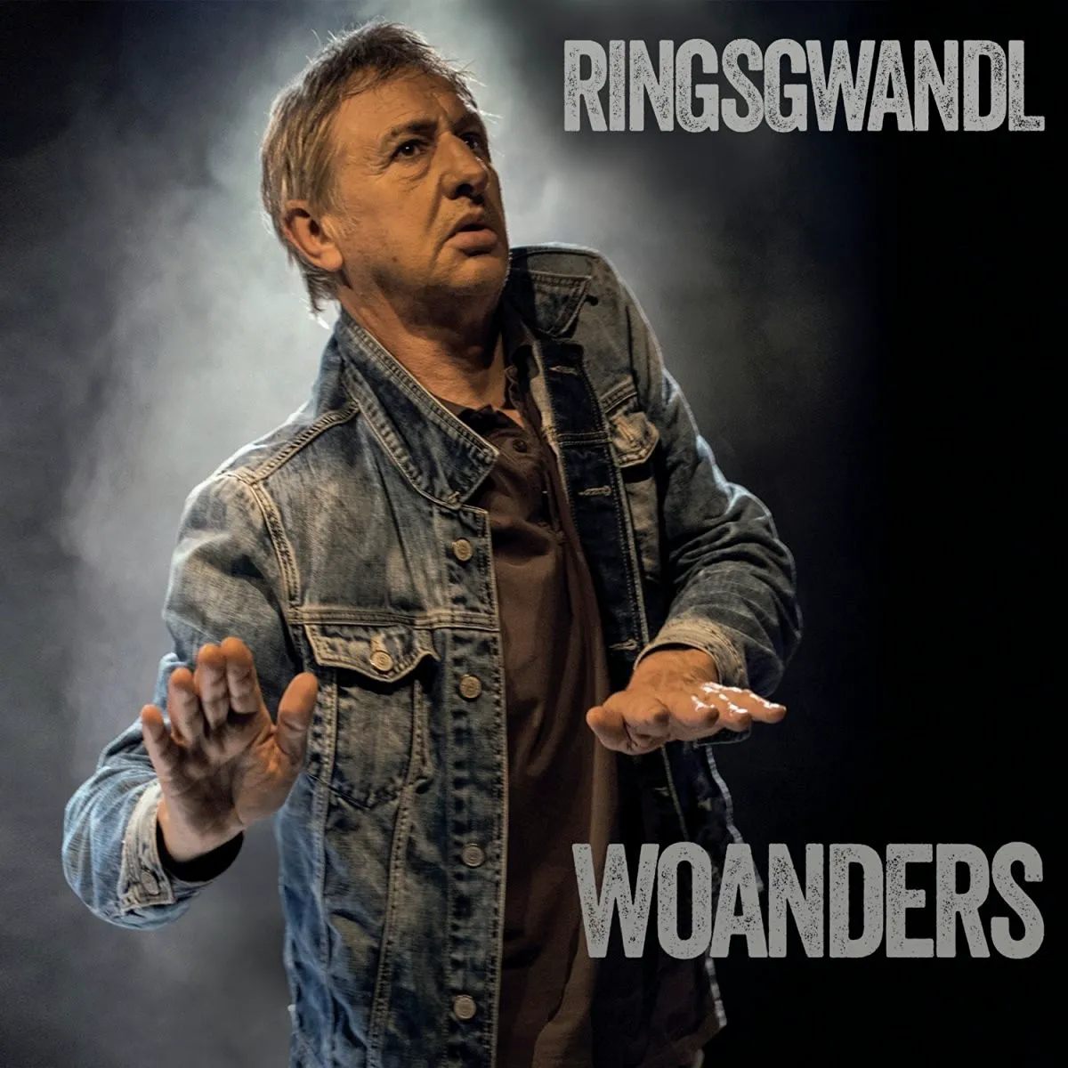 Obal albumu Georg Ringsgwandl – Woanders