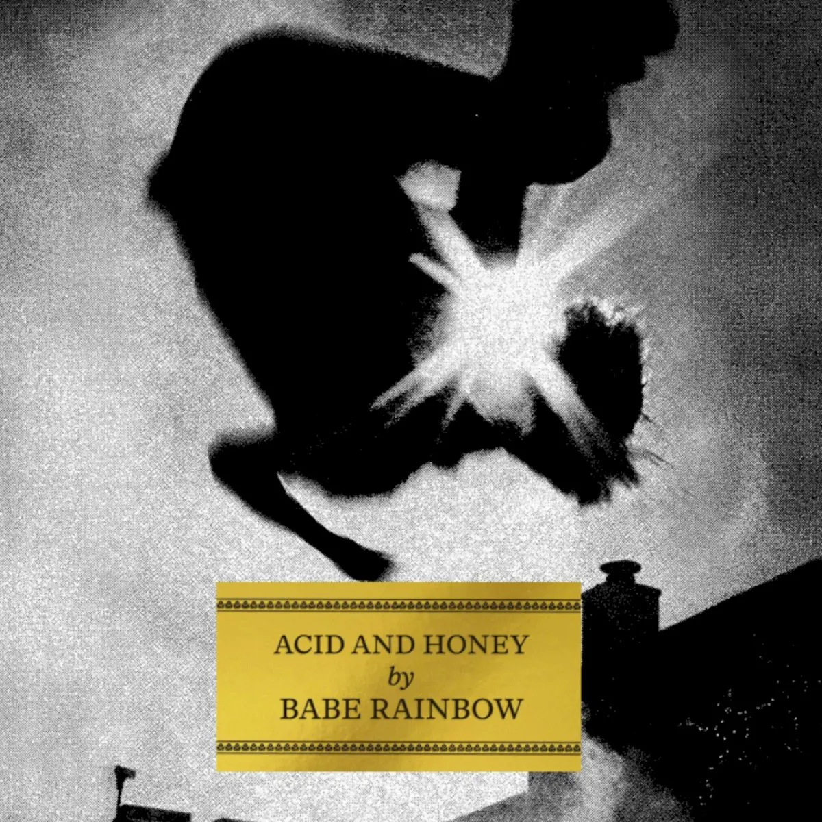 Obal alba Acid and Honey