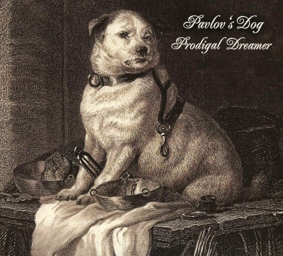 Obal alba Prodigal Dreamer