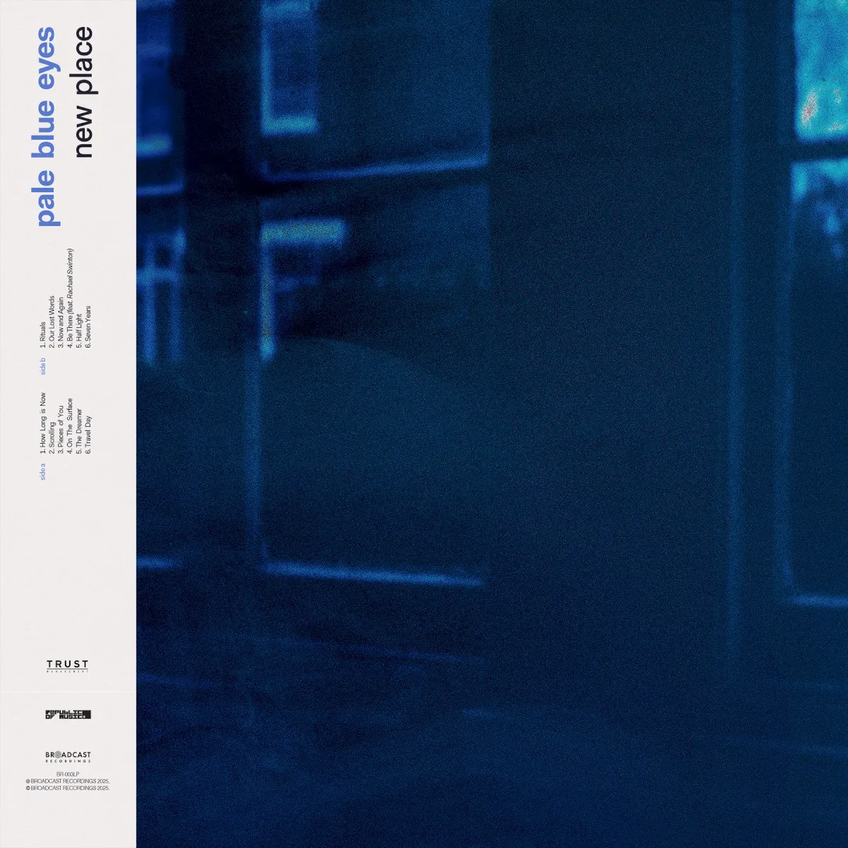 Obal alba Pale Blue Eyes – New Place