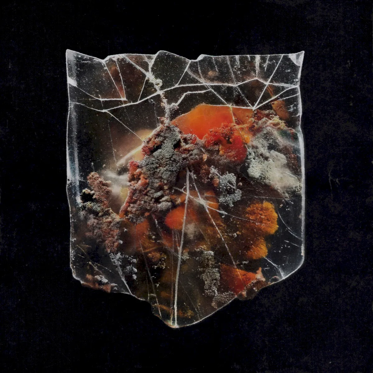 Cover of Shields – Death & Connection