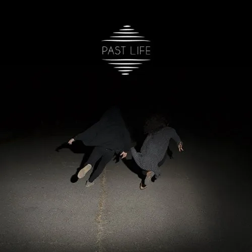 Cover of Lost in the Trees – Past Life