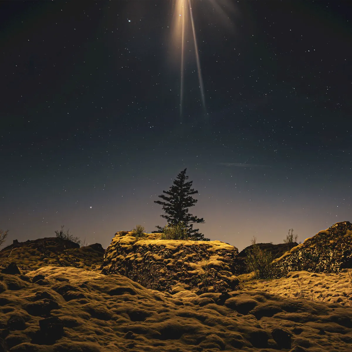Obal albumu The Second Coming Was a Moonrise