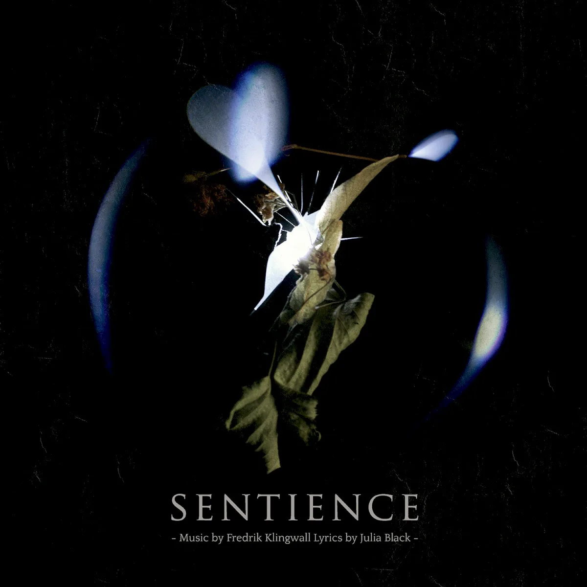 Obal alba Fredrik Klingwall, Julia Black – Sentience