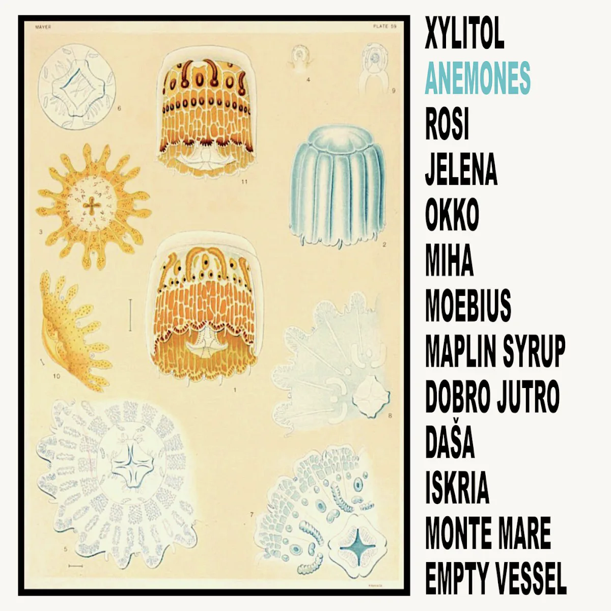 Cover of Xylitol – Anemones