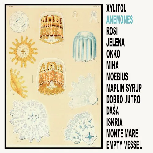 Cover of Xylitol – Anemones