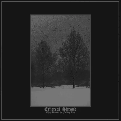Cover of Ethereal Shroud – They Became the Falling Ash