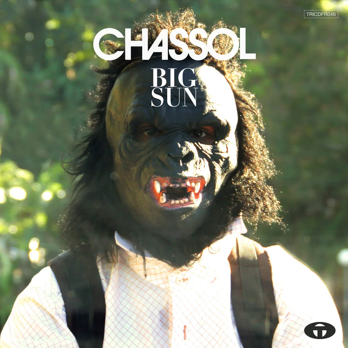Obal alba Big Sun