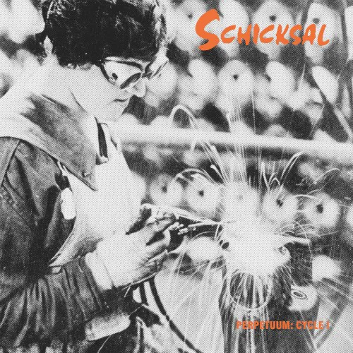 Cover of Schicksal – Perpetuum Cycle I