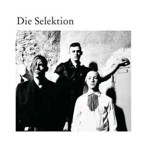 Cover of Die Selektion – Die Selektion