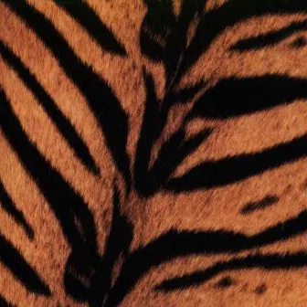 Obal albumu ↑THE HIGH-LOWS↓ – Tigermobile