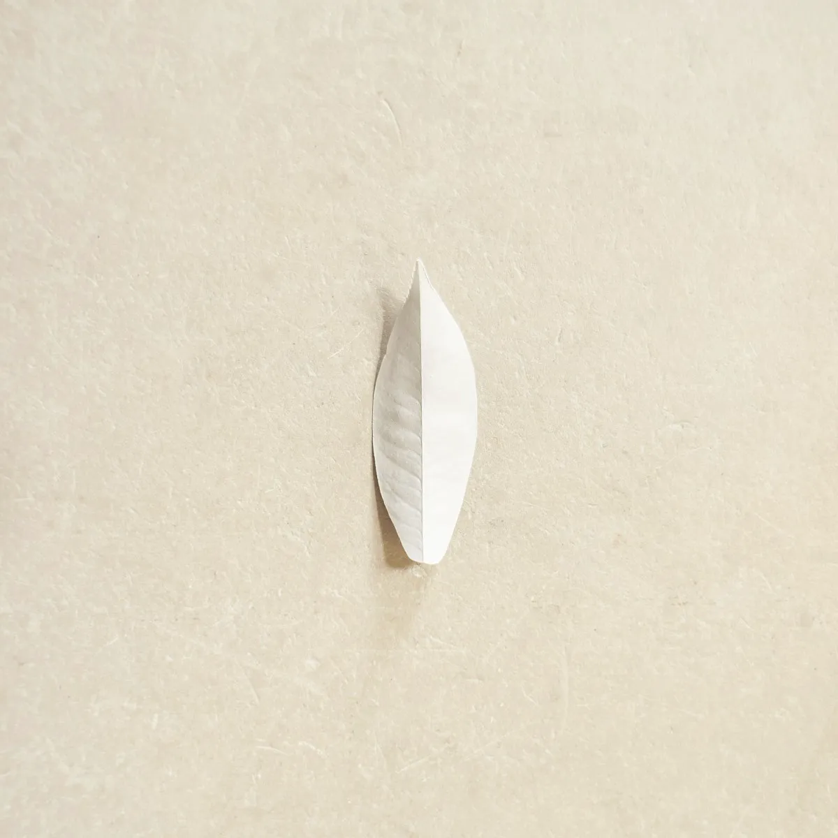 Obal alba The Complexity Of The Simple