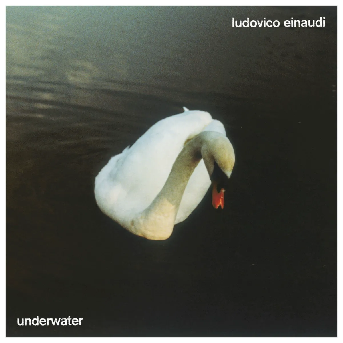 Cover of Underwater