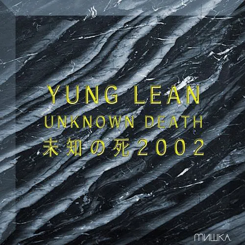 Cover of Unknown Death 2002