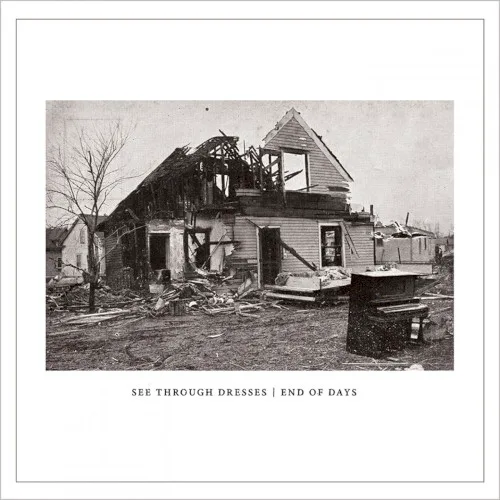 Cover of See Through Dresses – End of Days