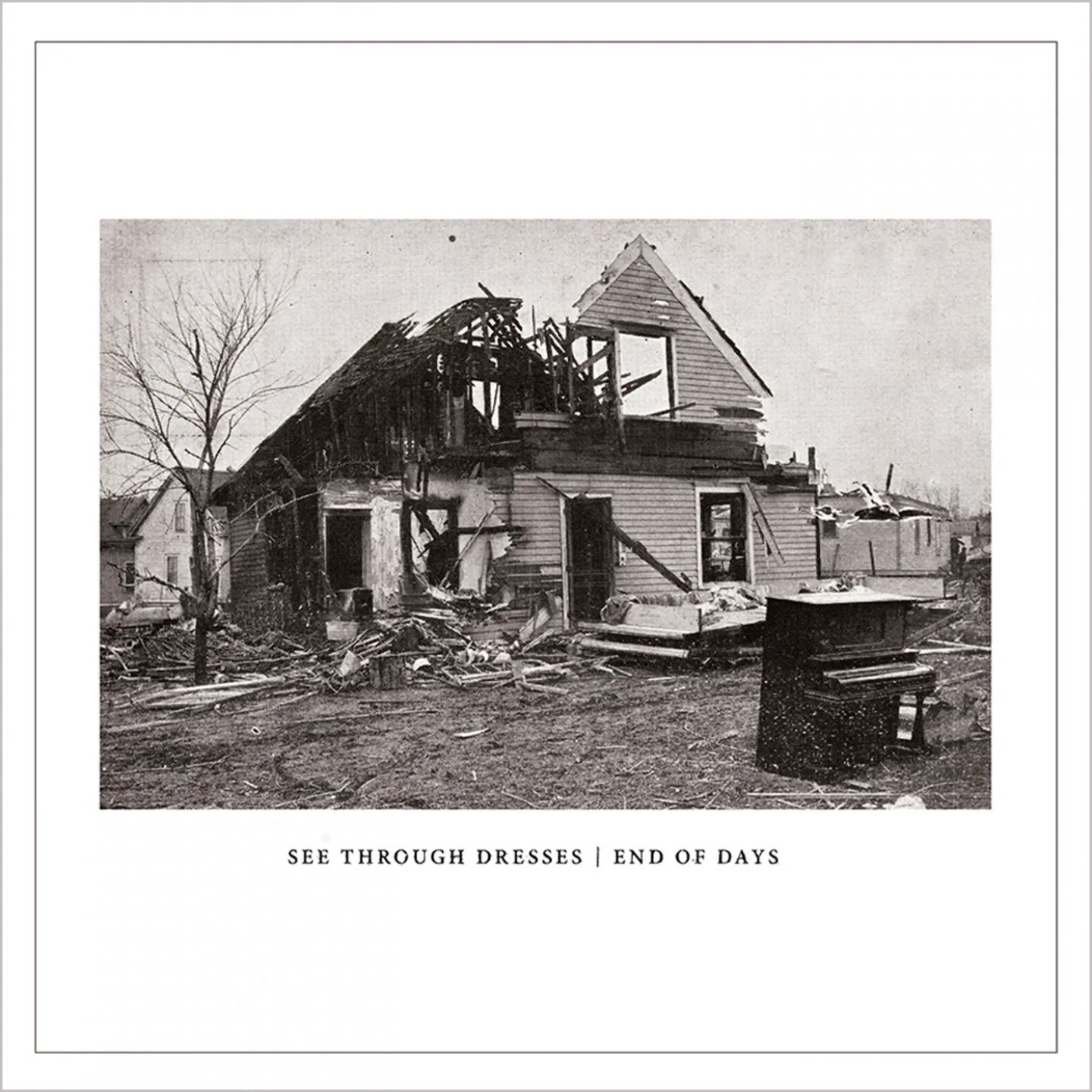 Cover of See Through Dresses – End of Days