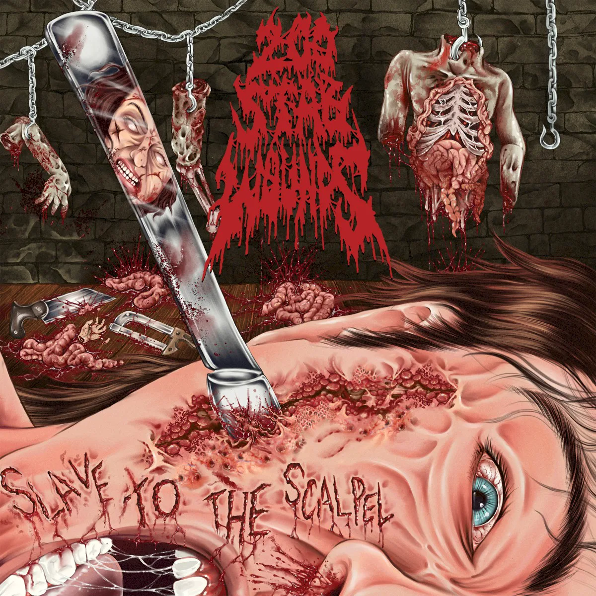 Cover of 200 Stab Wounds – Slave to the Scalpel