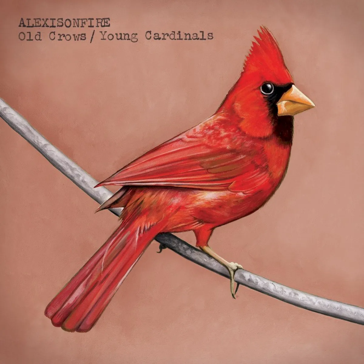 Obal albumu Old Crows / Young Cardinals