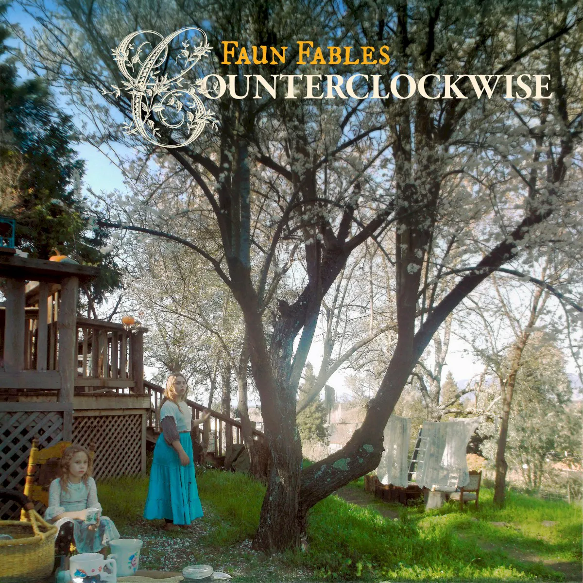 Cover of Counterclockwise