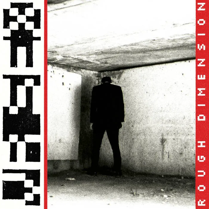 Cover of Rough Dimension