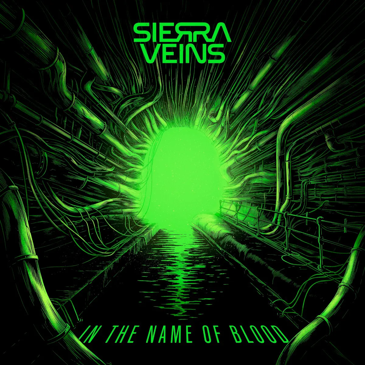 Cover of In the Name of Blood