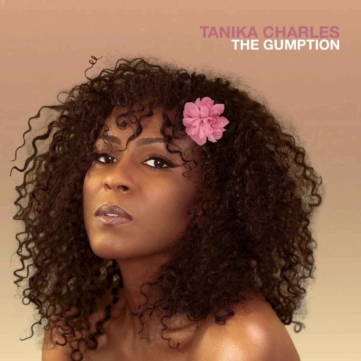 Cover of Tanika Charles – The Gumption