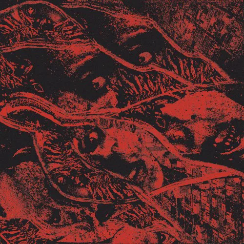 Cover of Vermin Womb – Retaliation