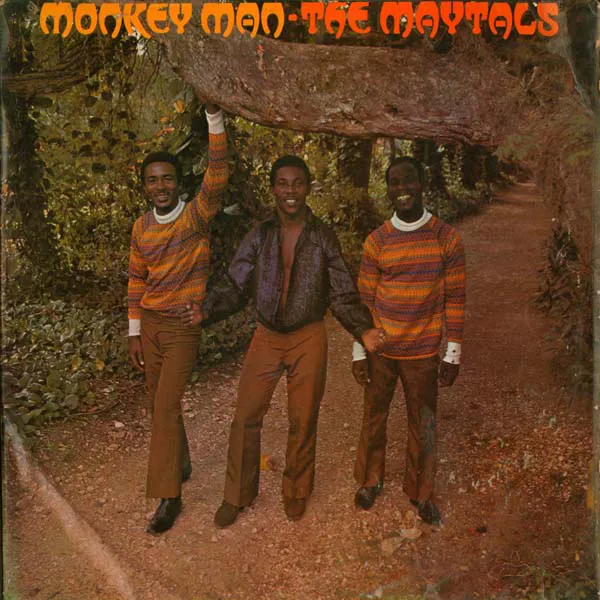 Cover of Monkey Man