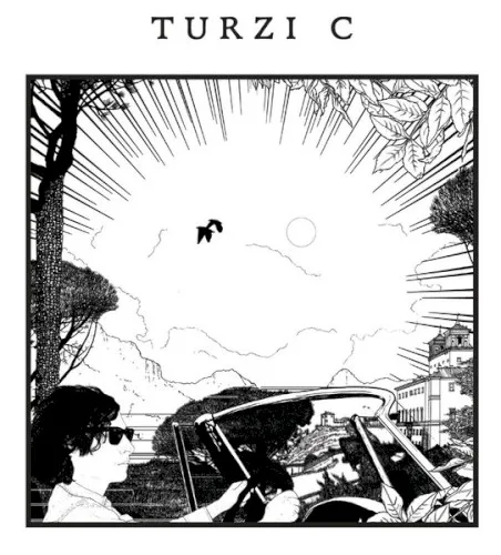 Cover of Turzi – C