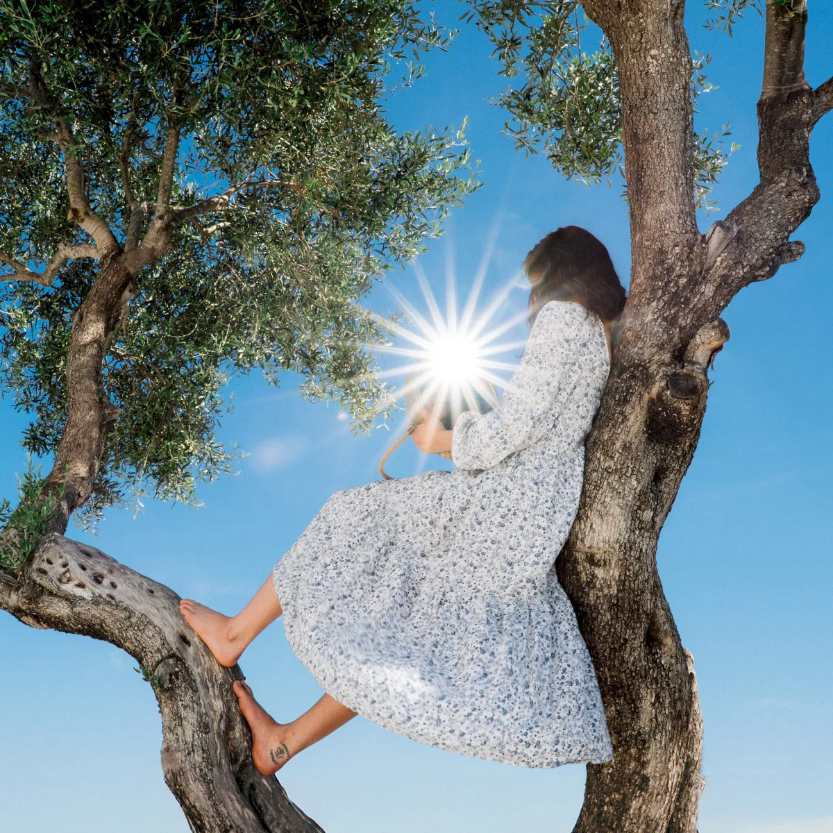 Obal alba Eaves Wilder – Little Miss Sunshine