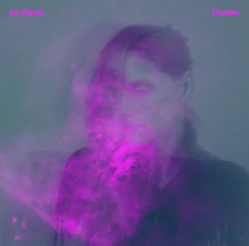 Cover of An Pierlé – Cluster