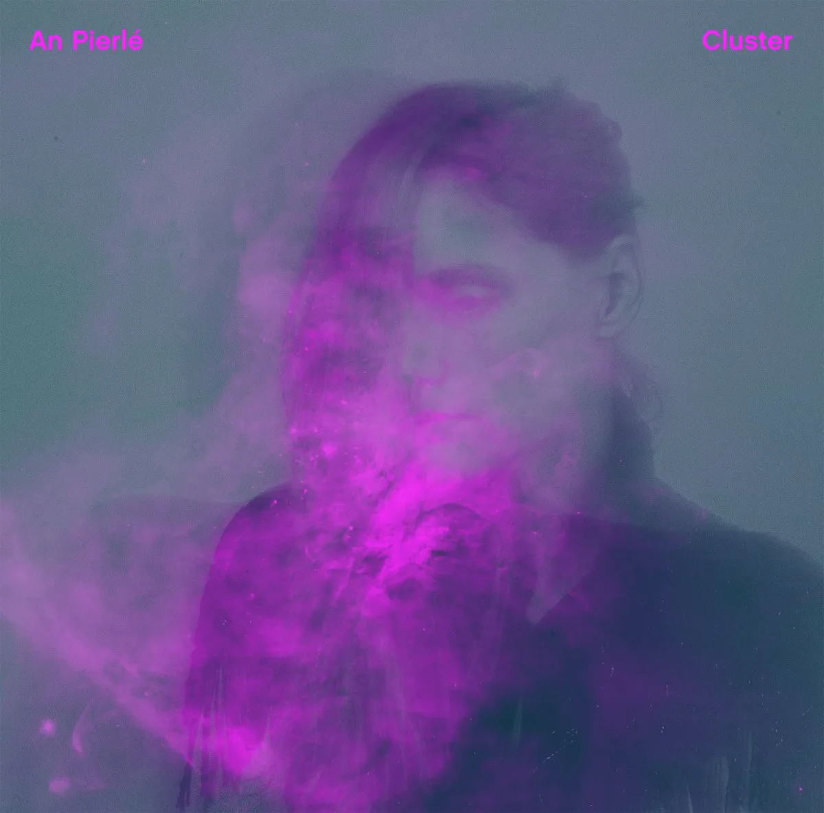 Cover of An Pierlé – Cluster