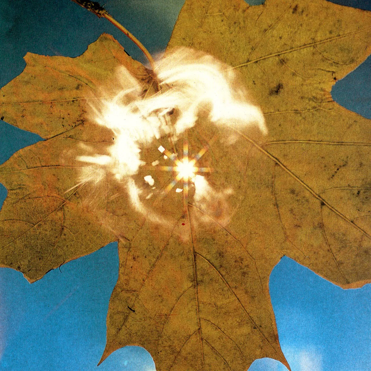 Obal alba Force Of The Wind