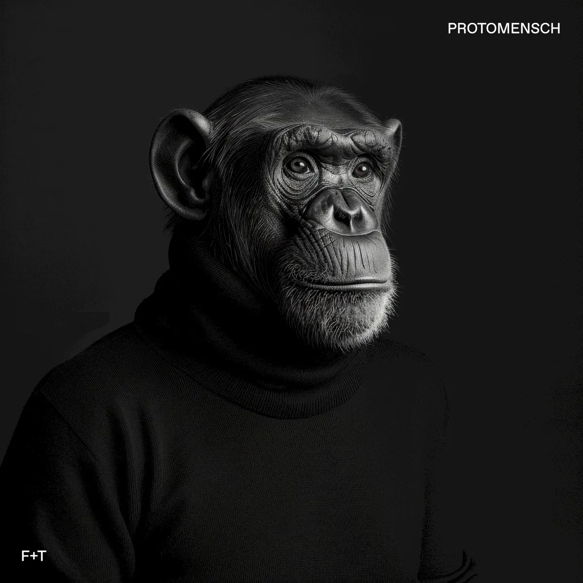 Obal alba Protomensch
