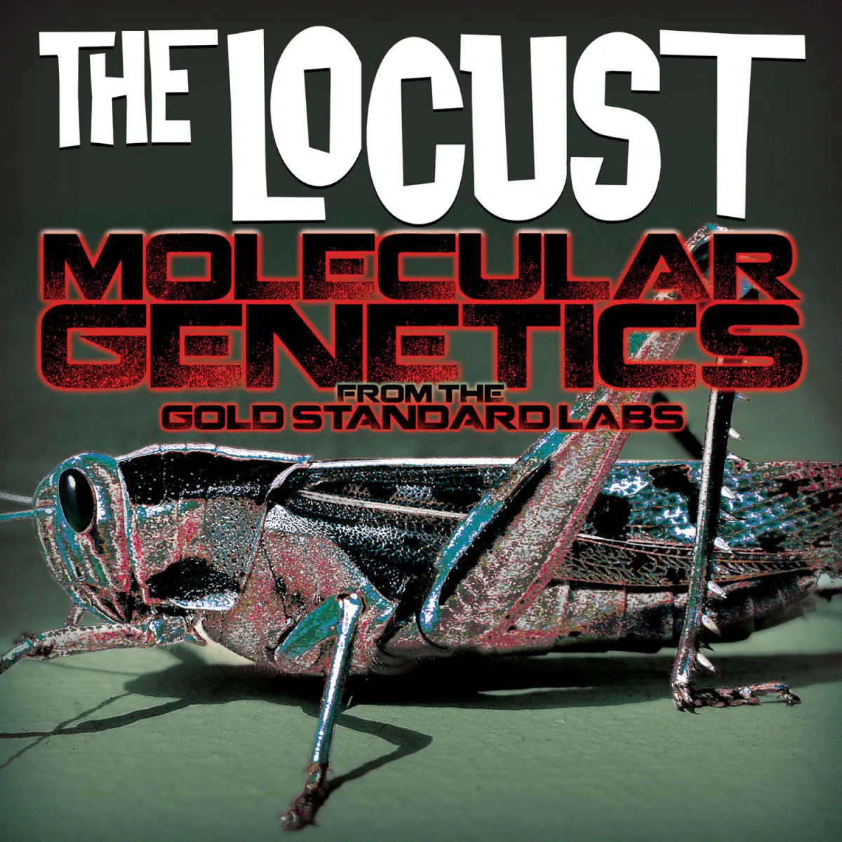 Obal alba Molecular Genetics From the Gold Standard Labs