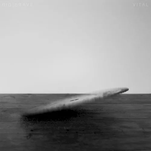 Cover of BIG|BRAVE – Vital