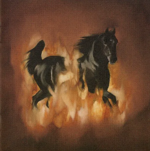 Cover of The Besnard Lakes – The Besnard Lakes Are the Dark Horse