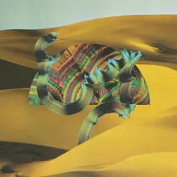 Obal alba Django Django – Django Django