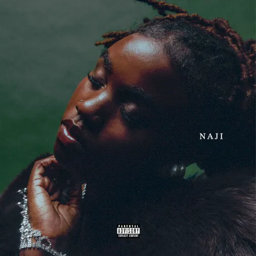 Obal albumu Kareen Lomax – NAJI