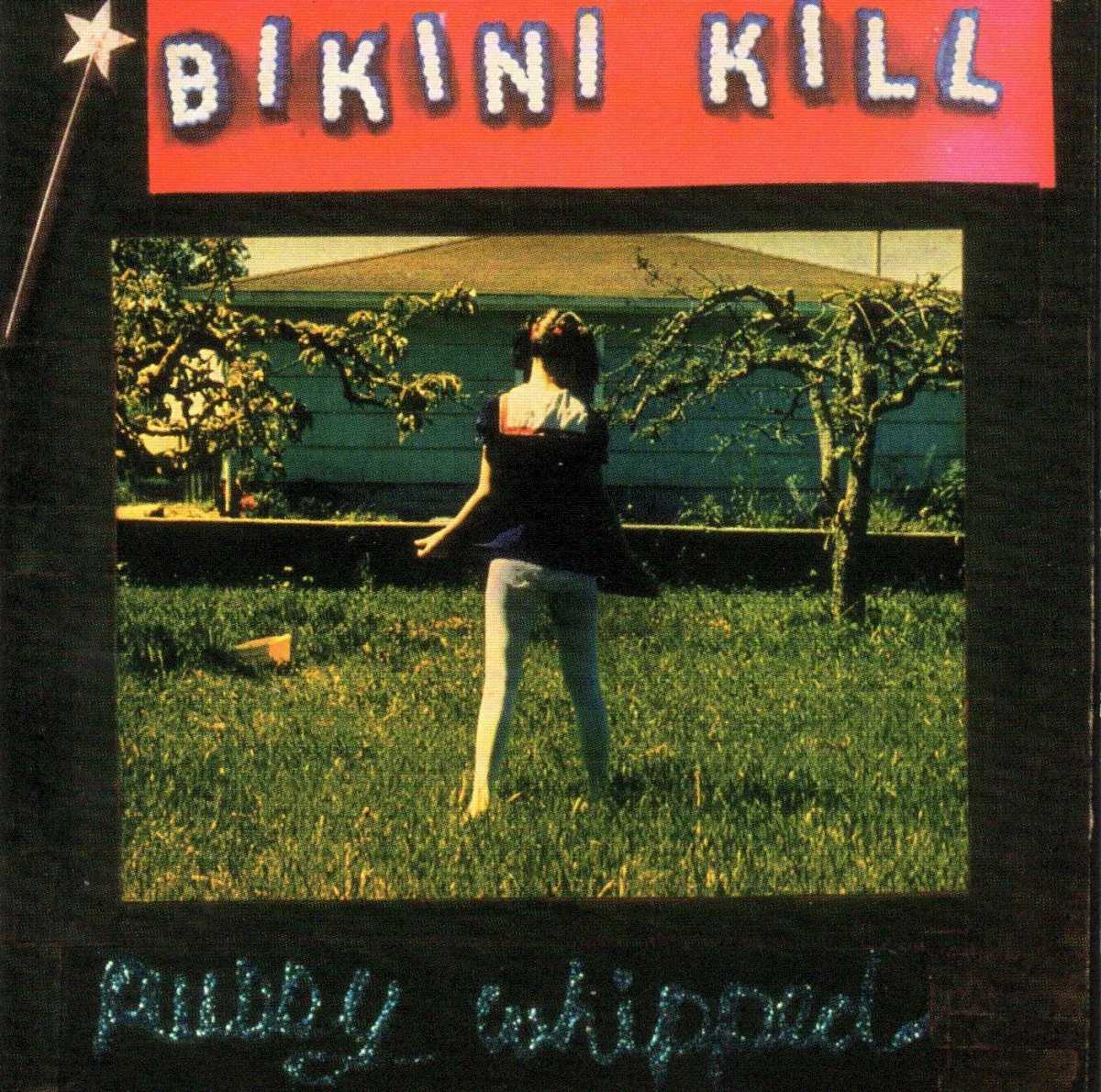 Cover of Pussy Whipped