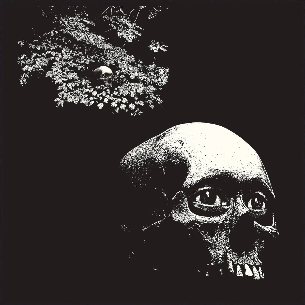 Cover of A Foul Form