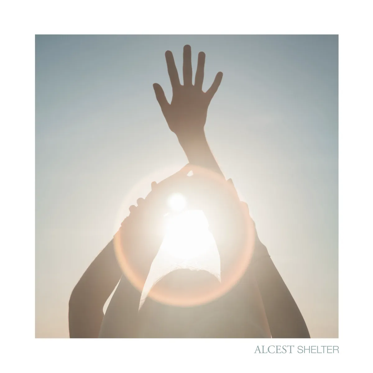 Cover of Shelter