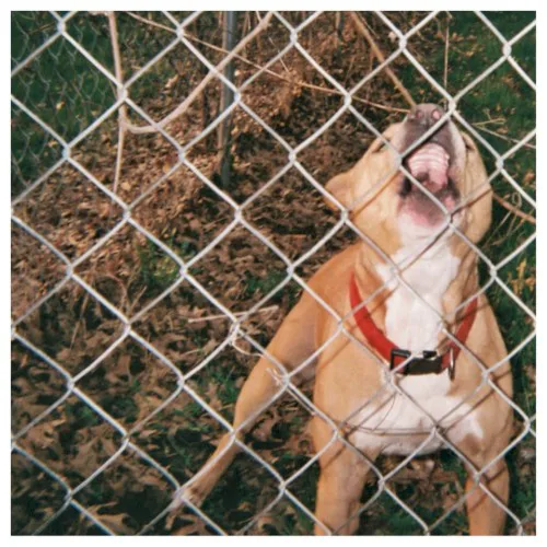Cover of Knocked Loose – Pop Culture