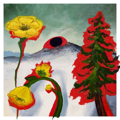 Cover of Woods – Strange to Explain