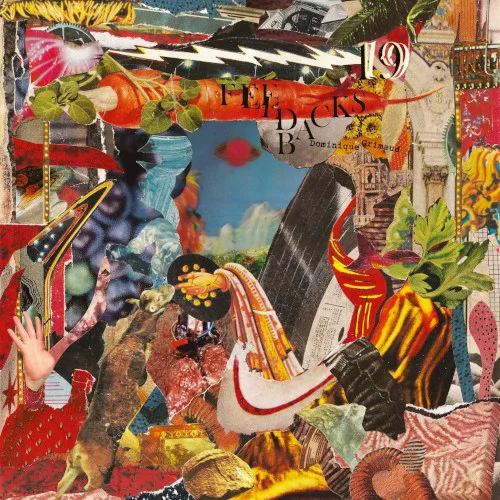 Cover of Dominique Grimaud – 19 Feedbacks