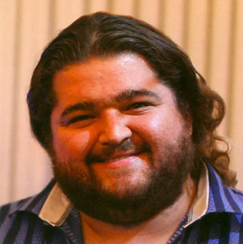 Cover of Weezer – Hurley