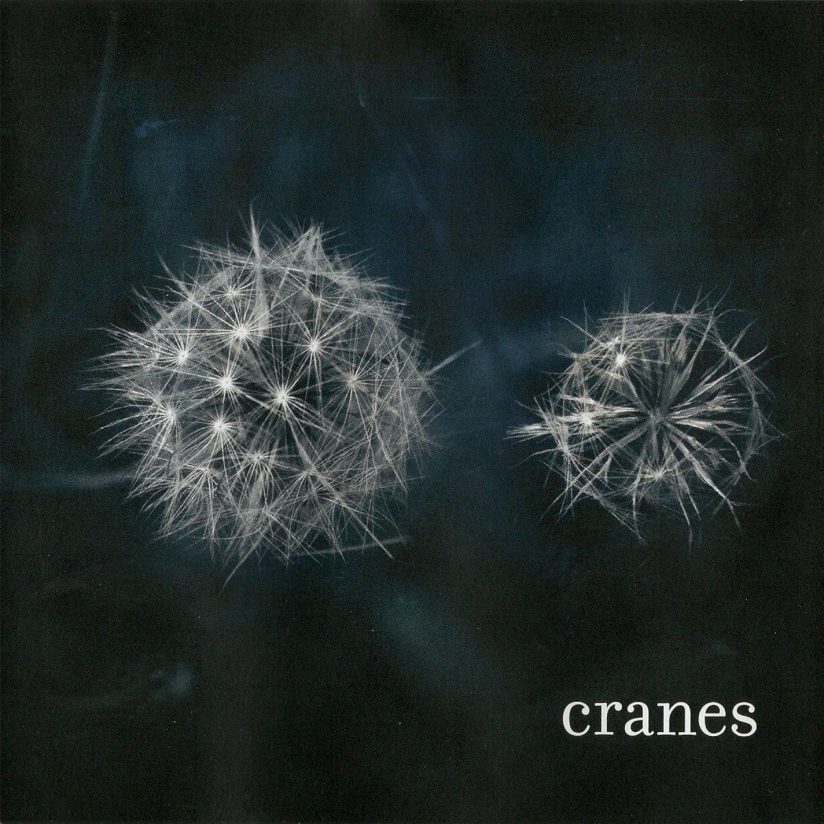 Obal alba Cranes