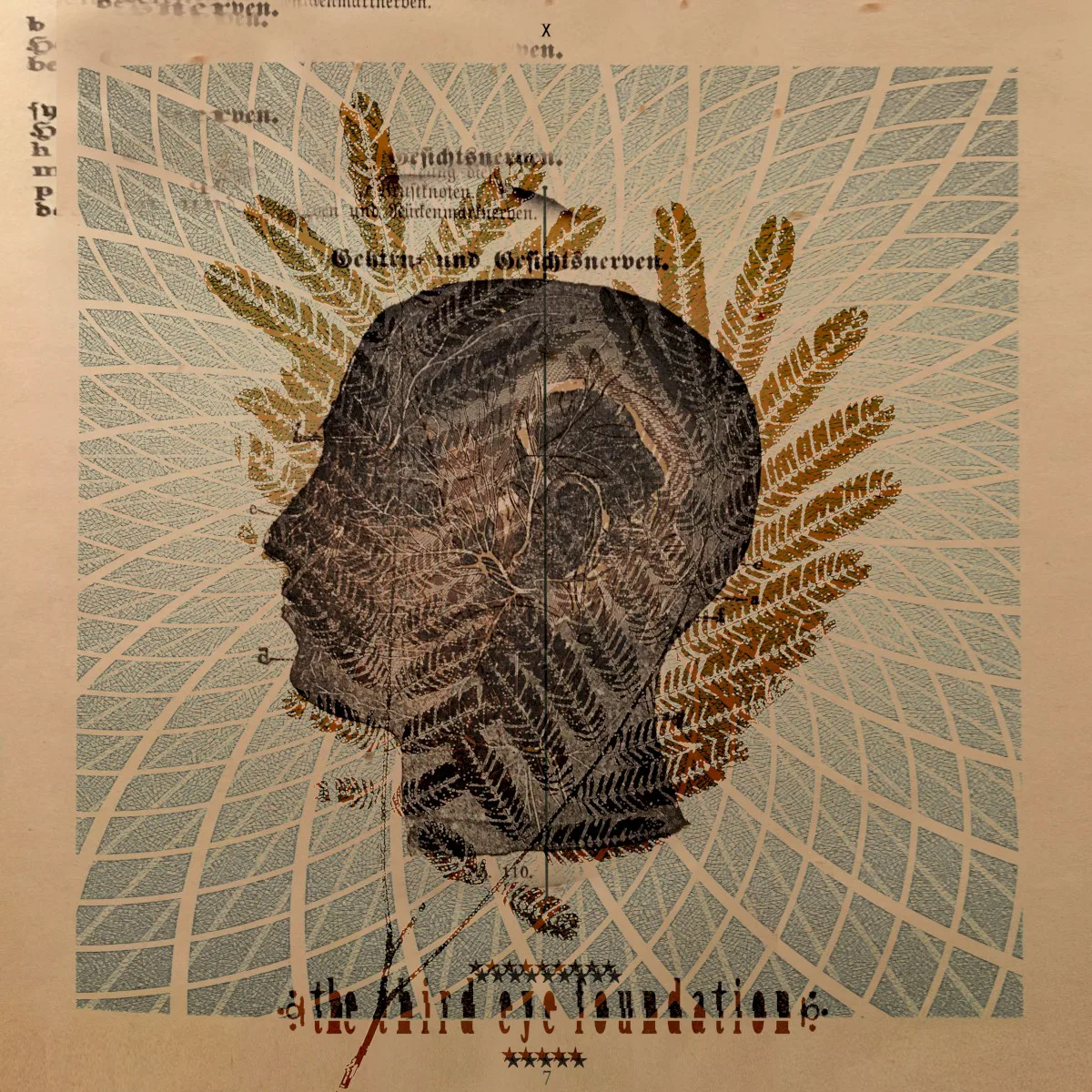 Cover of The Third Eye Foundation – Wake the Dead